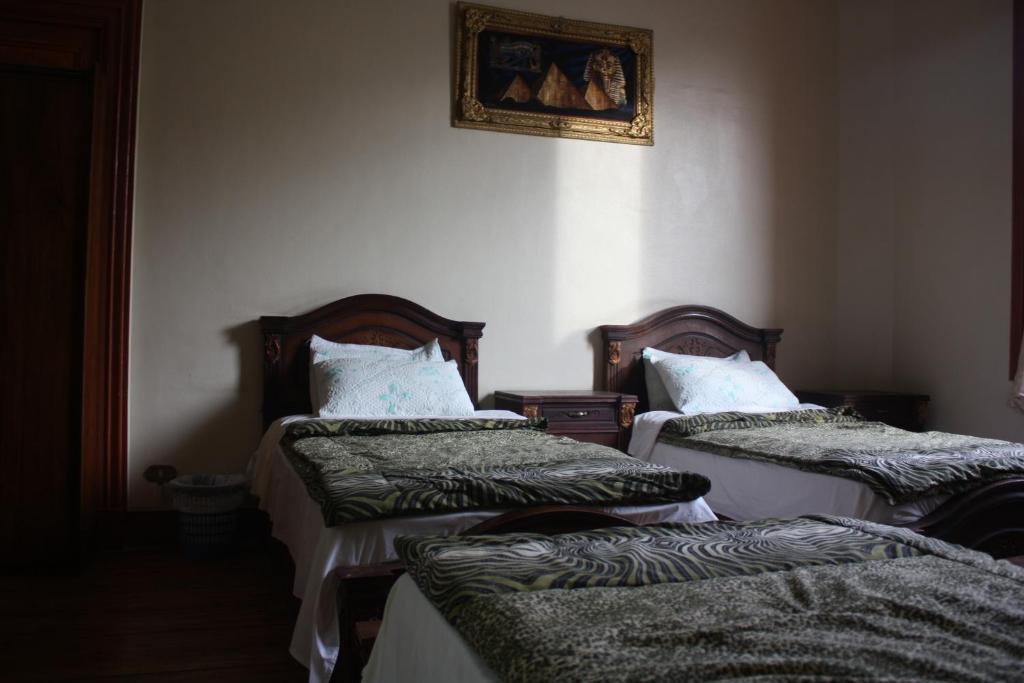 Hola Cairo Hostel المظهر الخارجي الصورة
