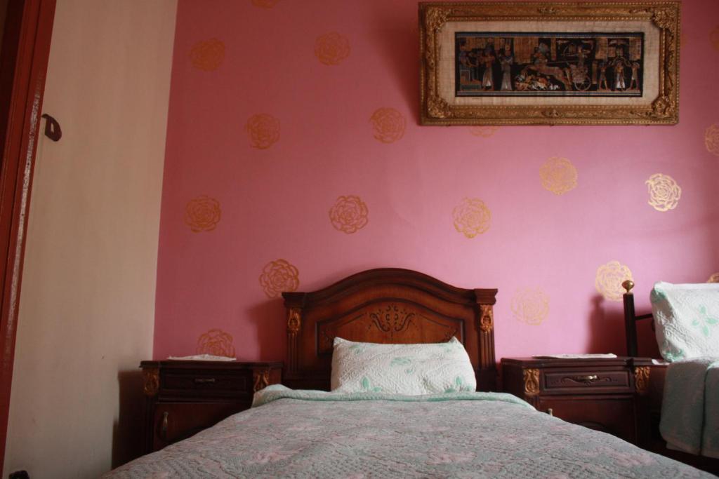 Hola Cairo Hostel الغرفة الصورة