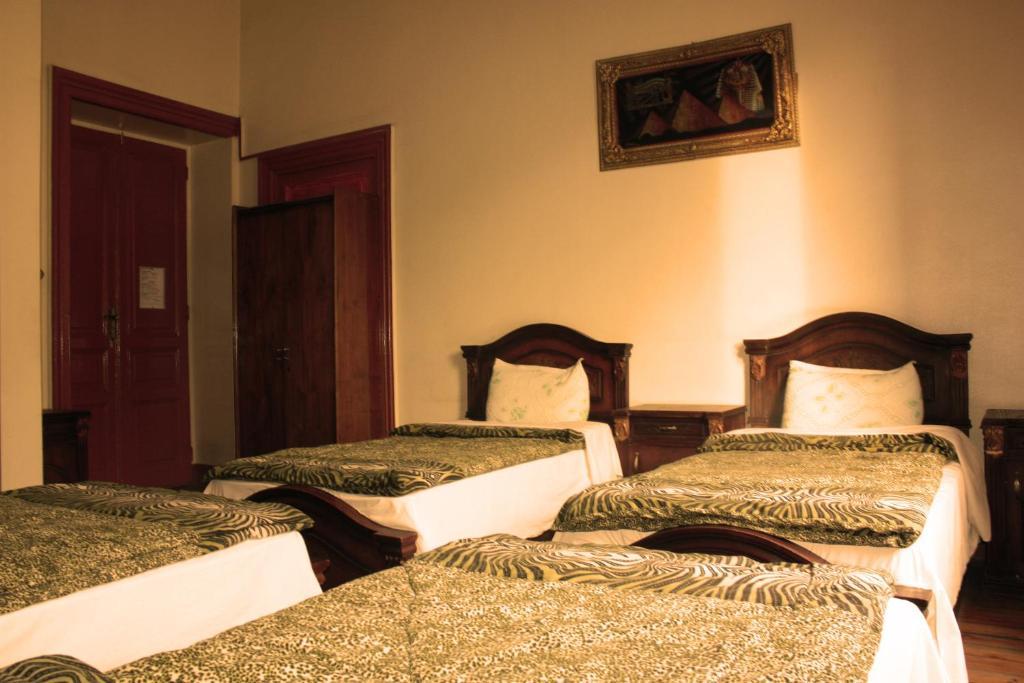 Hola Cairo Hostel الغرفة الصورة