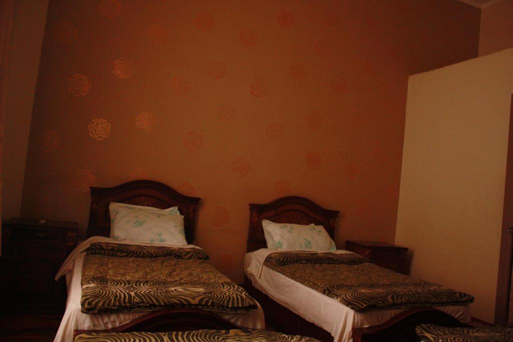 Hola Cairo Hostel المظهر الخارجي الصورة