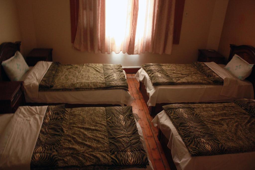 Hola Cairo Hostel المظهر الخارجي الصورة